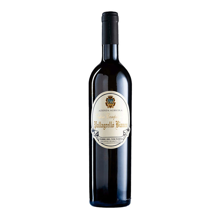 VINO PALLAGRELLO BIANCO 2023 IGT -75CL VESTINI CAMPAGNANO TERRE DEL VOLTURNO